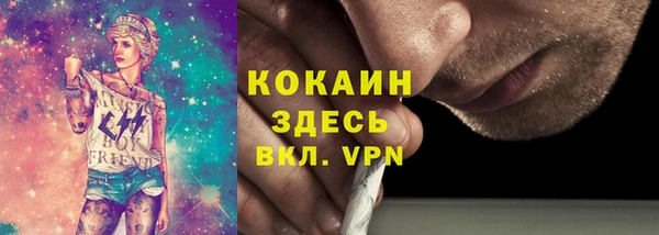 прущие грибы Богданович