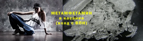 прущие грибы Богданович
