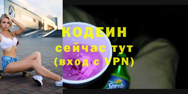 прущие грибы Богданович