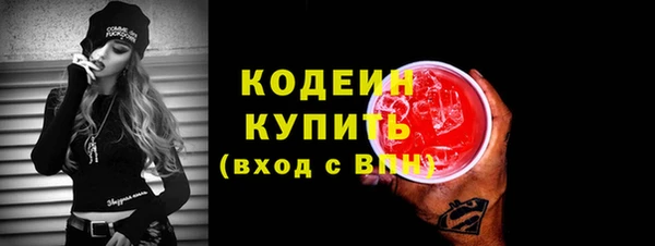 прущие грибы Богданович