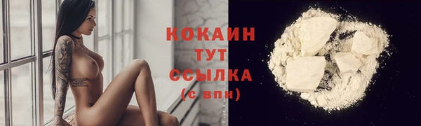 Альфа ПВП Богородицк