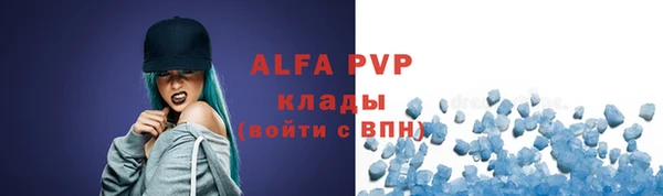 прущие грибы Богданович