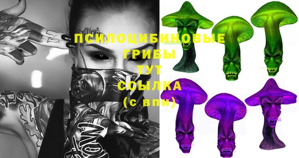 Альфа ПВП Богородицк
