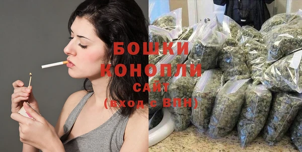 прущие грибы Богданович